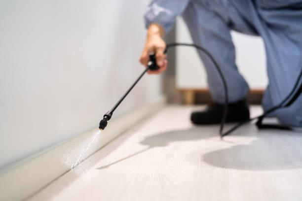 Licensed Wasp Control service in Columbia City, IN - Nex Pest Control