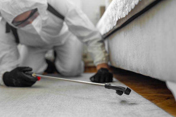 Professional Wasp Control technician working in Columbia City, IN