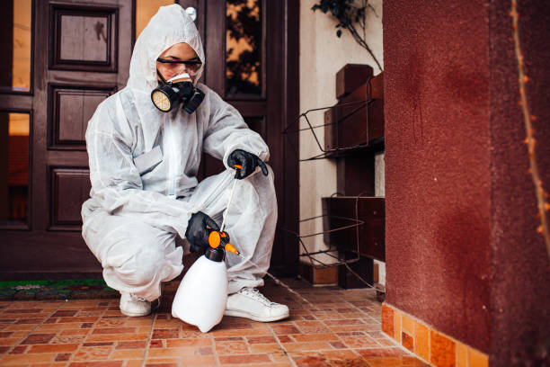 Reliable Bed Bug Control contractor in Columbia City, IN by Nex Pest Control