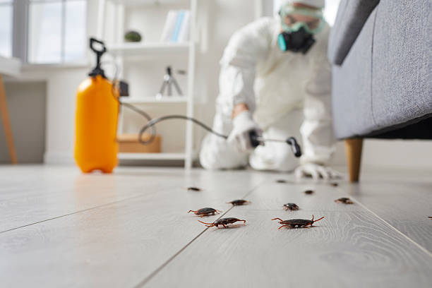 Trusted Ant Control service in Columbia City, IN - Nex Pest Control